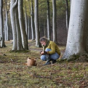 I benefici salutari e culinari dei violini