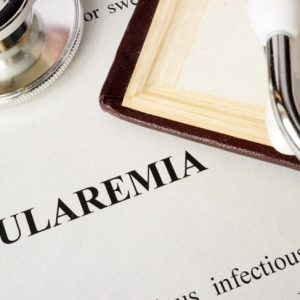 Quali sono le cause, i sintomi e i trattamenti della tularemia?