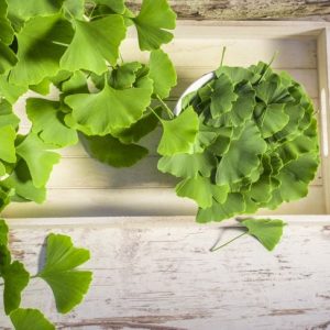 10 comprovati benefici per la salute del Ginkgo Biloba