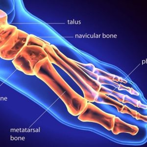 Anatomia e disturbi dell’articolazione MTP