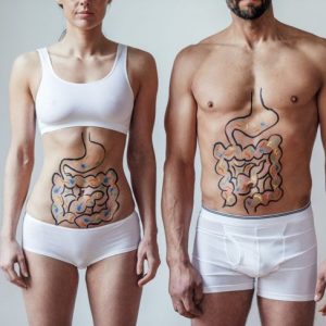 Le funzioni essenziali dell’intestino crasso