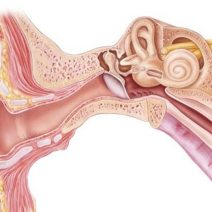 Trattamento dell’orecchio del nuotatore