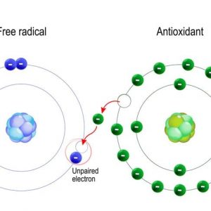 10 importanti benefici per la salute dell’acido alfa lipoico (ALA)