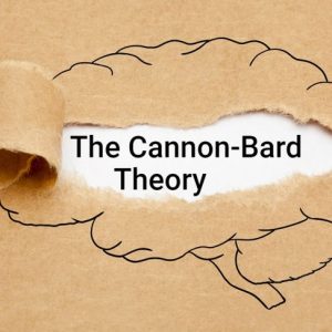 La teoria Cannon-Bard delle emozioni